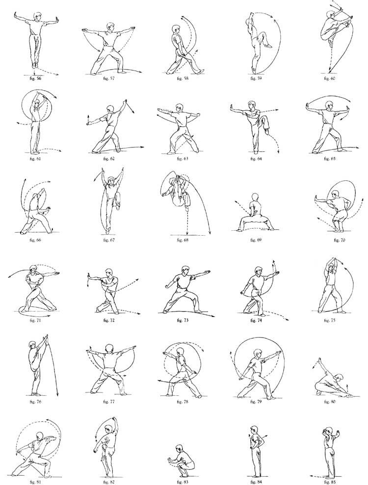 Wushu basic training pdf